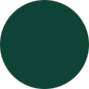 Зеленый мох (RAL 6005)